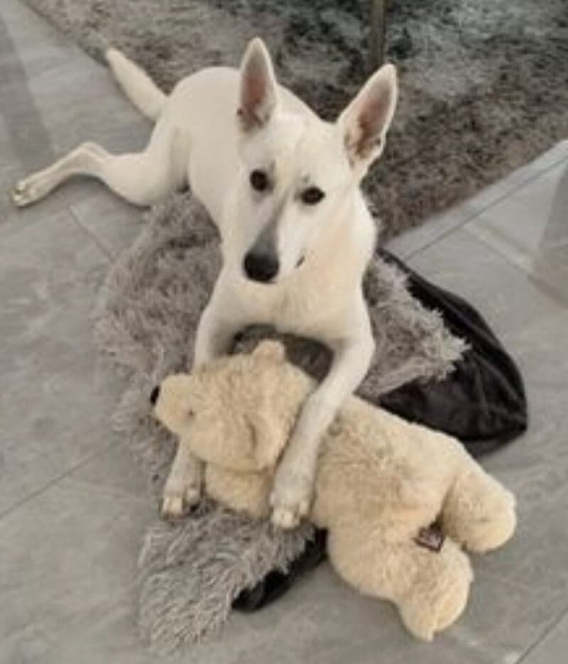 Coco -  - Bild 1