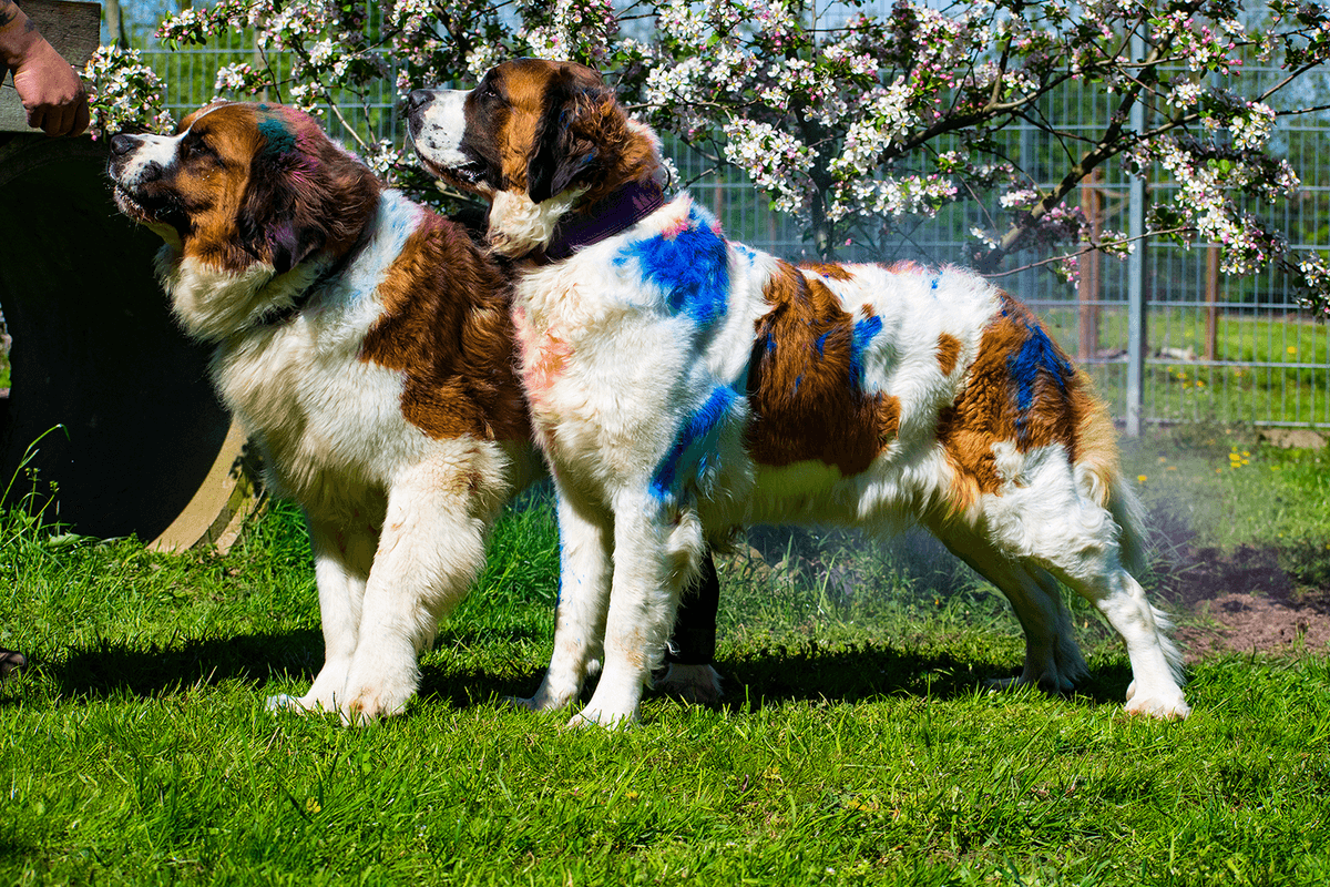 Max -  - Bild 5