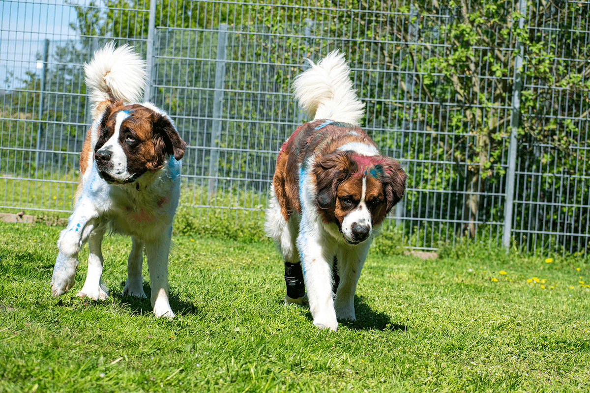 Max -  - Bild 3