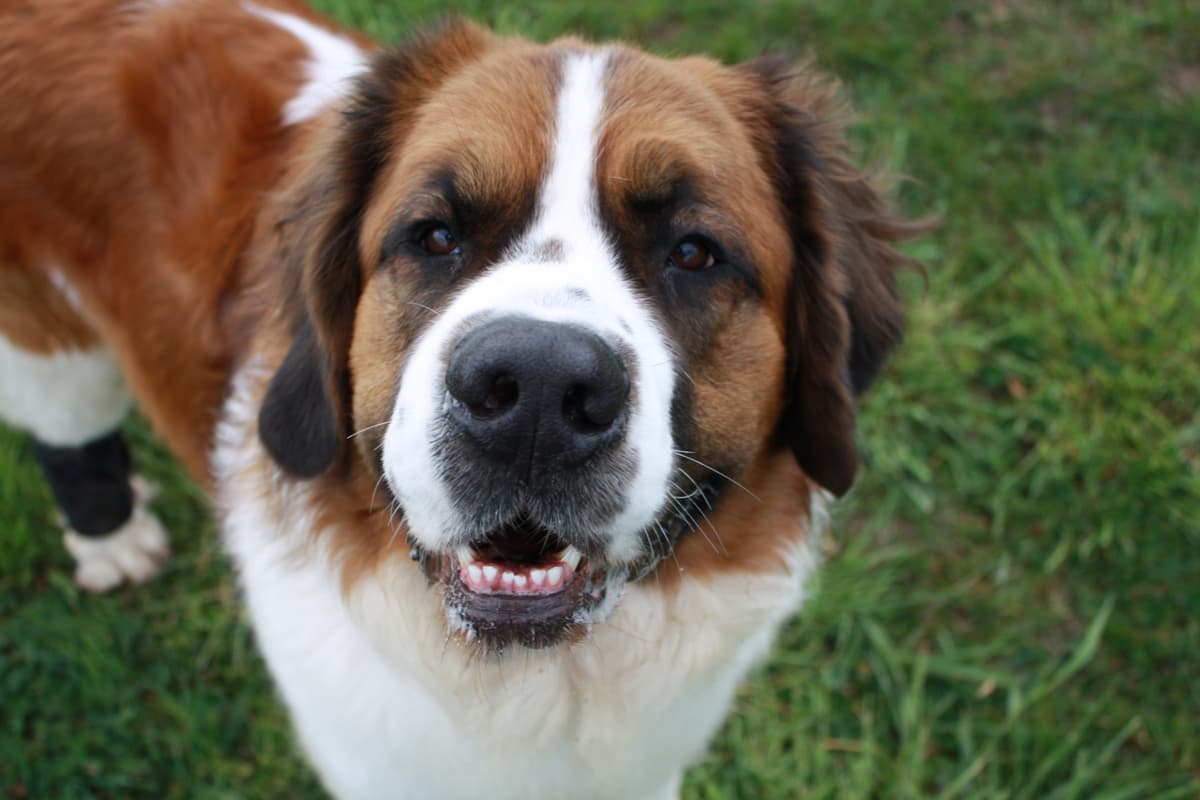 Max -  - Bild 7