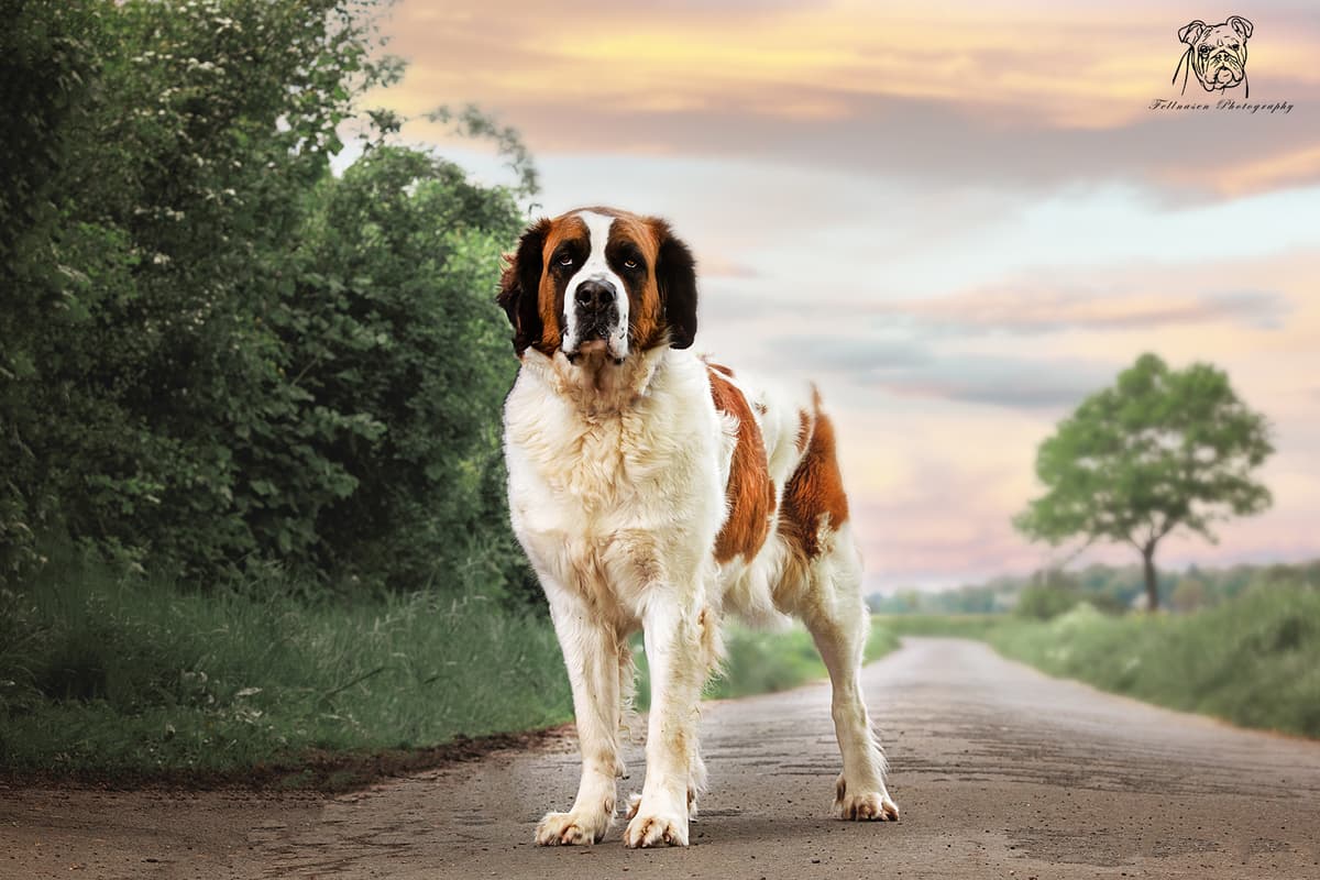 Max -  - Bild 13