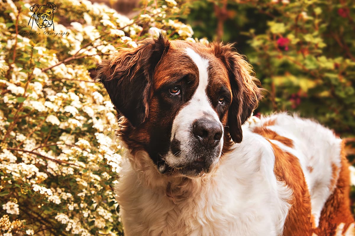 Max -  - Bild 17