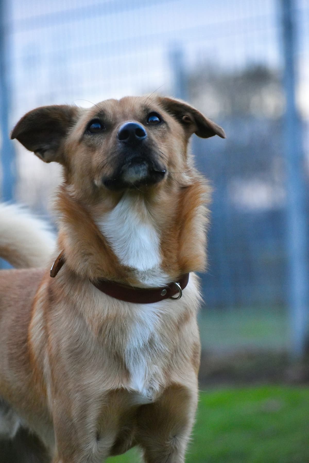 Pablo -  - Bild 1