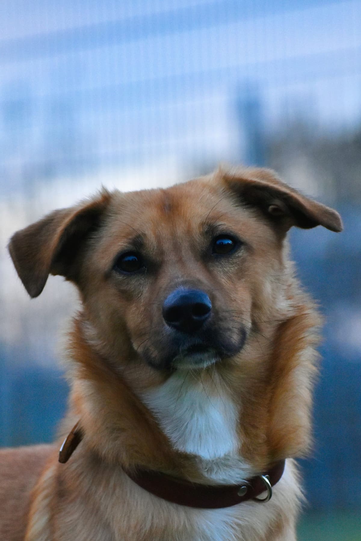 Pablo -  - Bild 2
