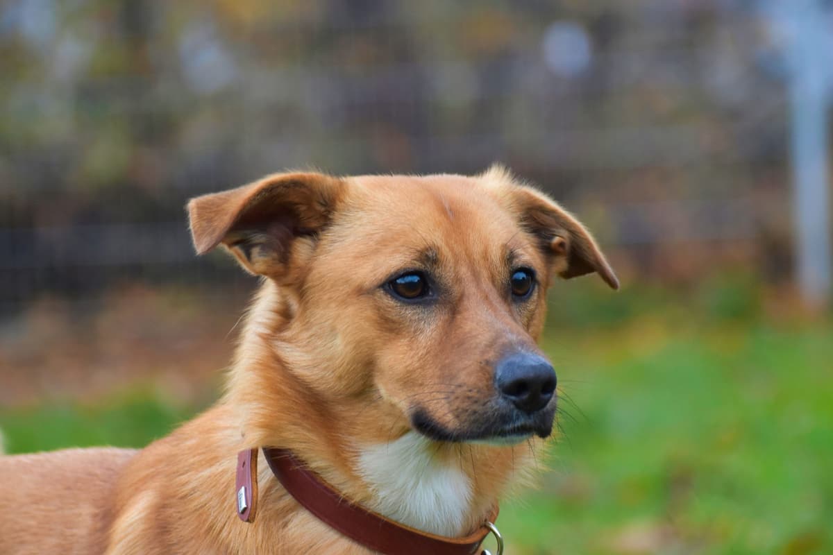 Pablo -  - Bild 5