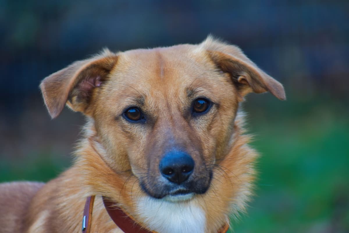 Pablo -  - Bild 6