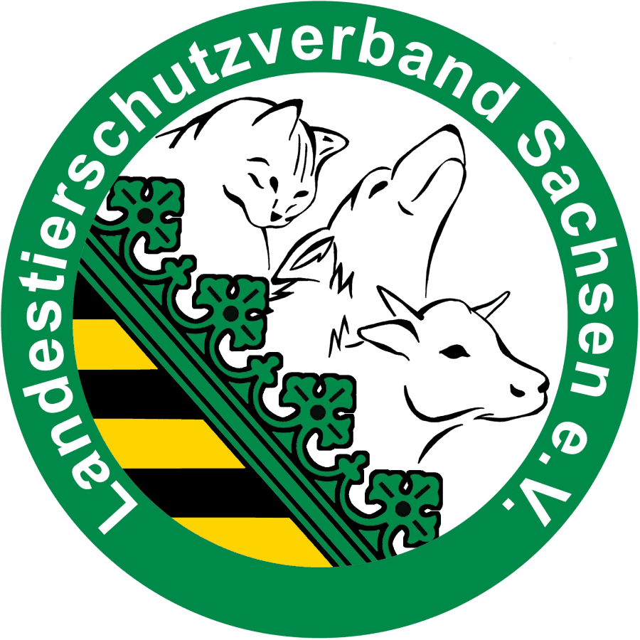 Theo - Rottweiler - Bild 4