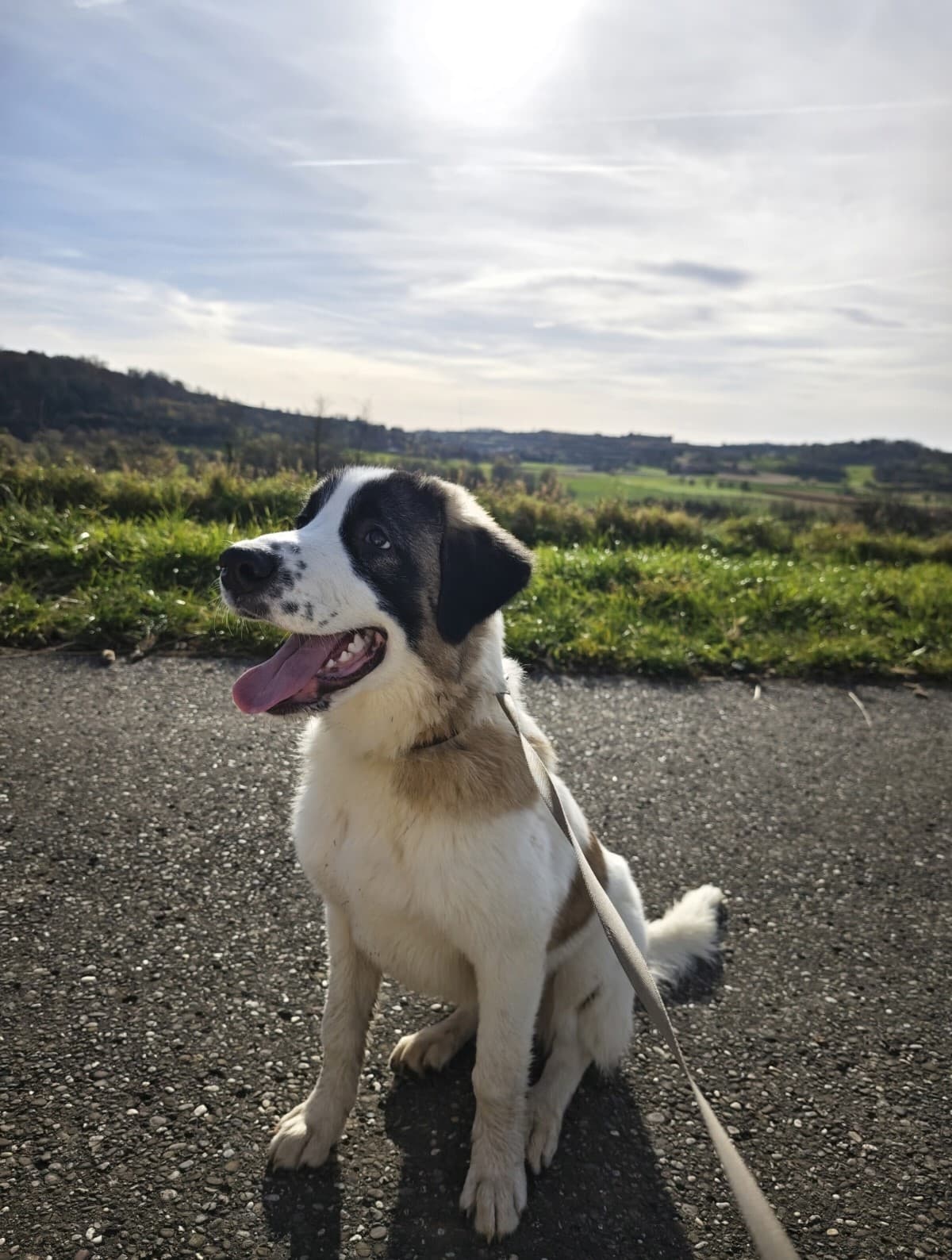 Billy - - Bild 2