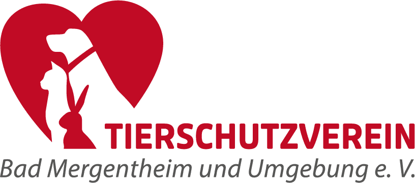 Naz - Kangal-Hirtenhund - Bild 10