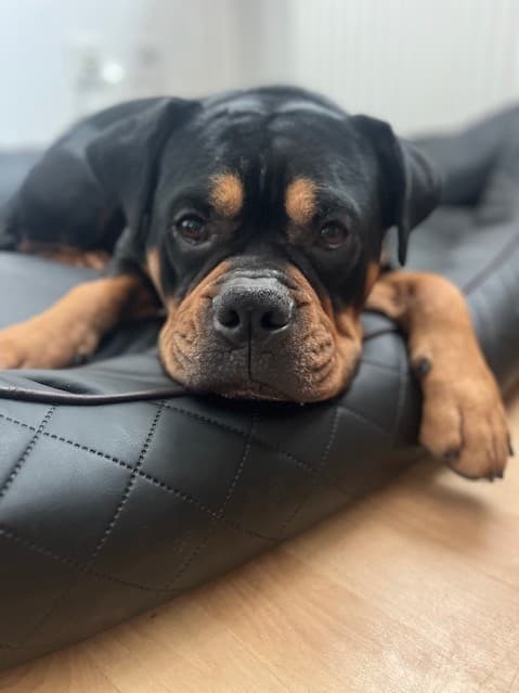 Spike - - Bild 2