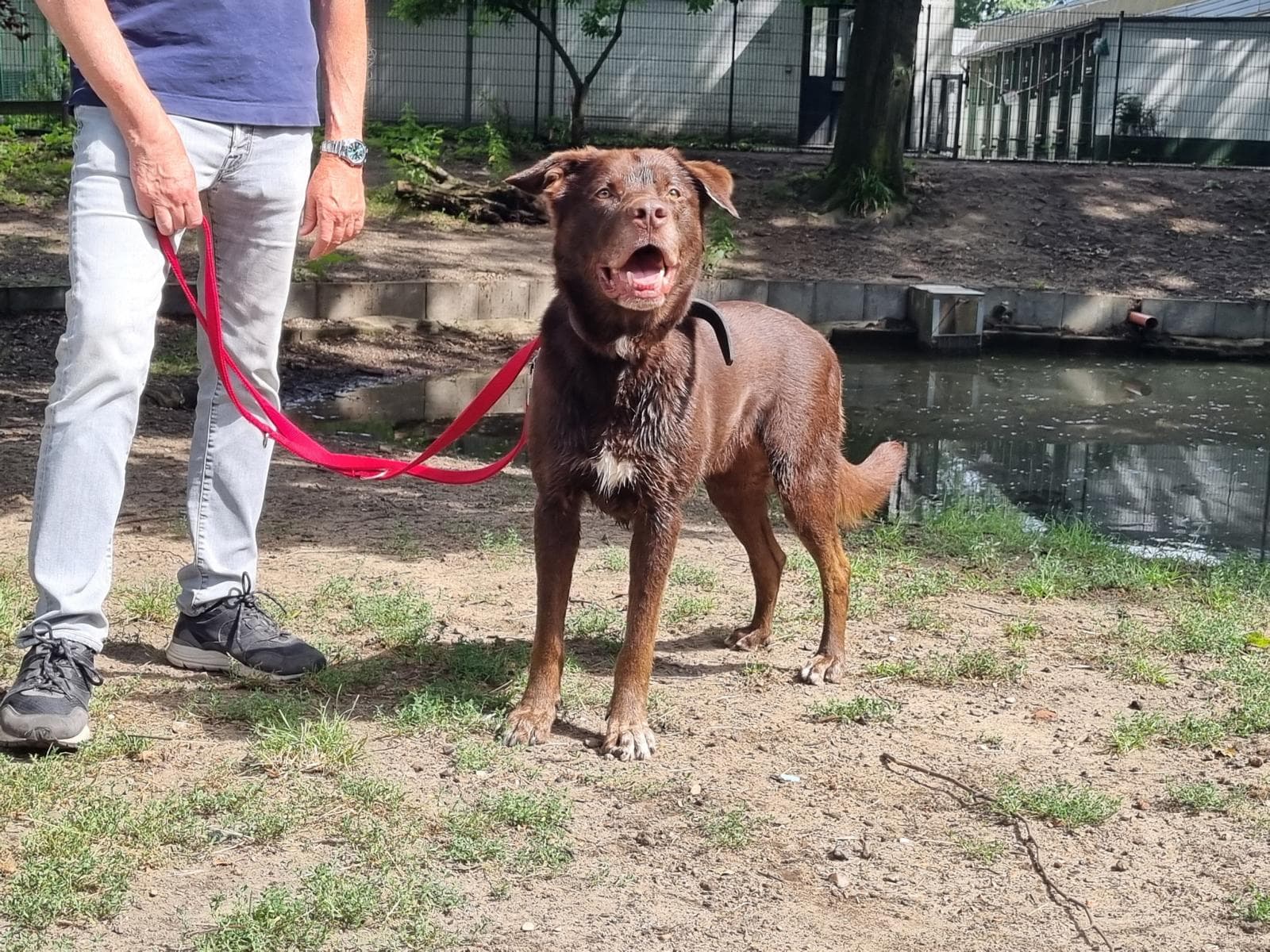 Zeus - Ca de Bestiar - Bild 6