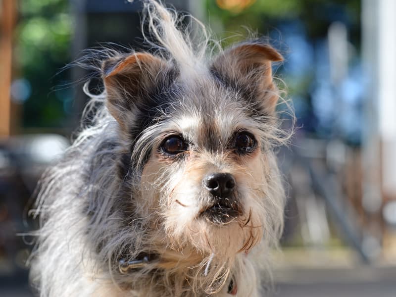 Flauschi - - Bild 10
