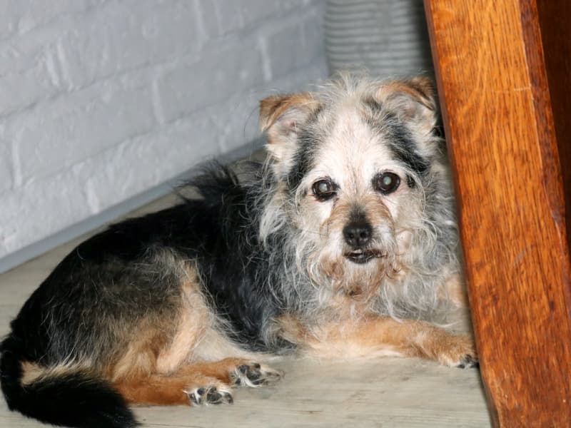 Flauschi - - Bild 19