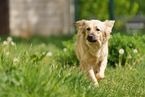 Felicitas - - Bild 4