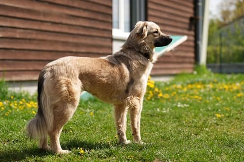 Felicitas - - Bild 3