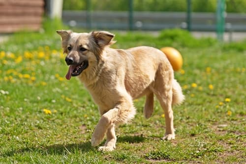 Felicitas - - Bild 2