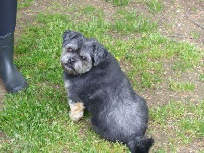 Krümelchen - - Bild 10