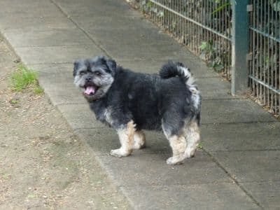 Krümelchen - - Bild 4