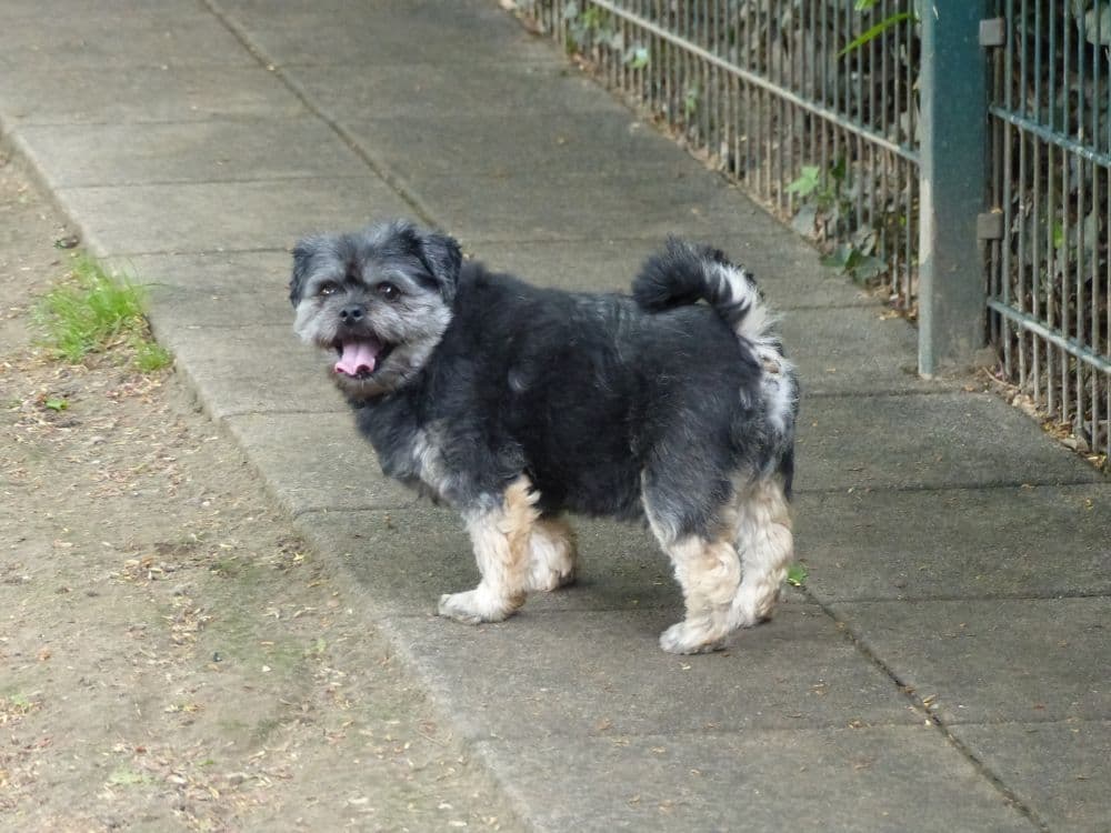 Krümelchen - - Bild 5