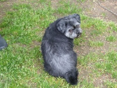 Krümelchen - - Bild 12