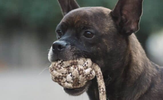 Sebastian - - Bild 11