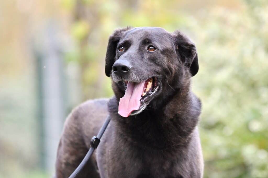 Sebastian - - Bild 6