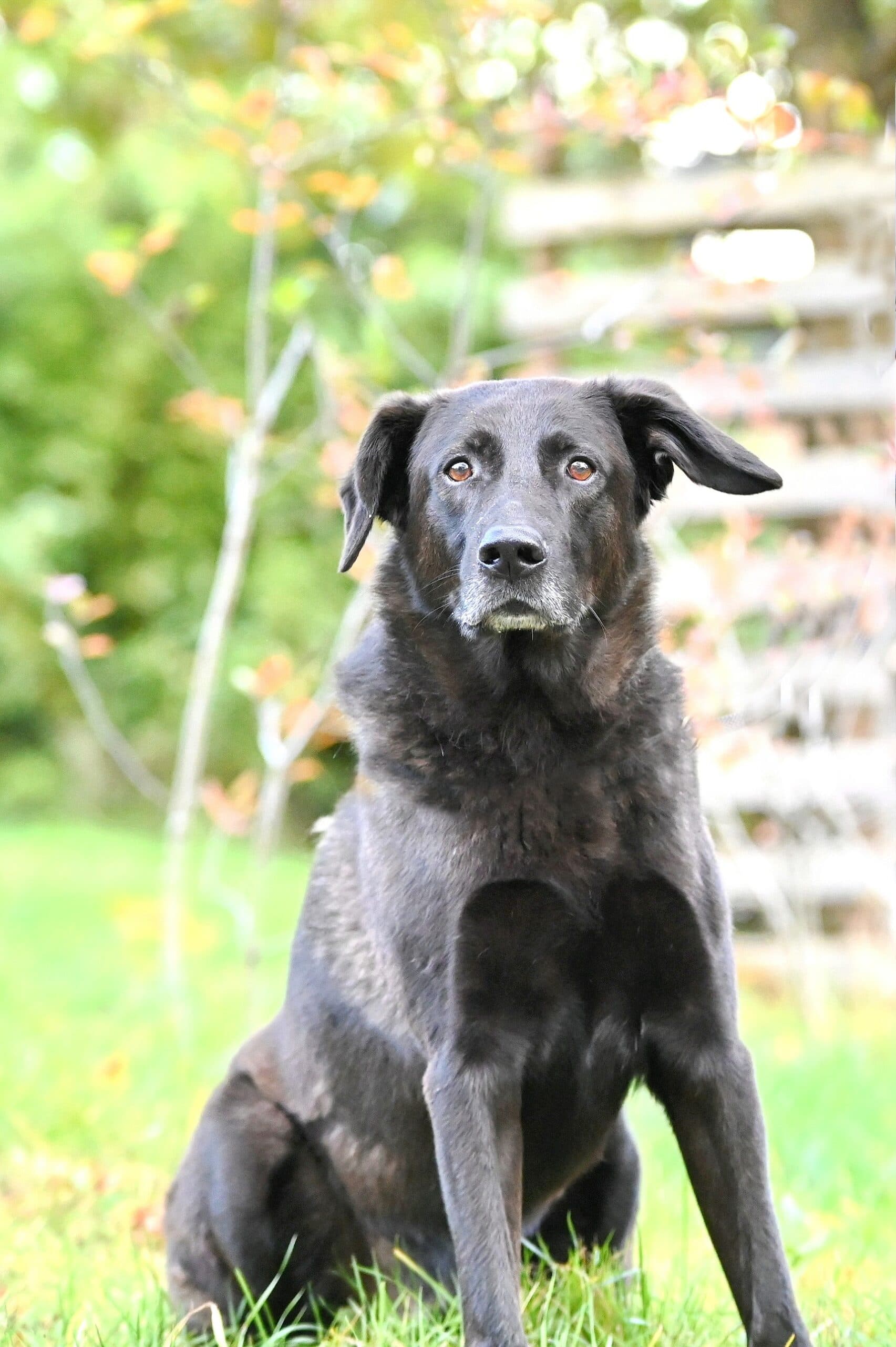 Sebastian - - Bild 9