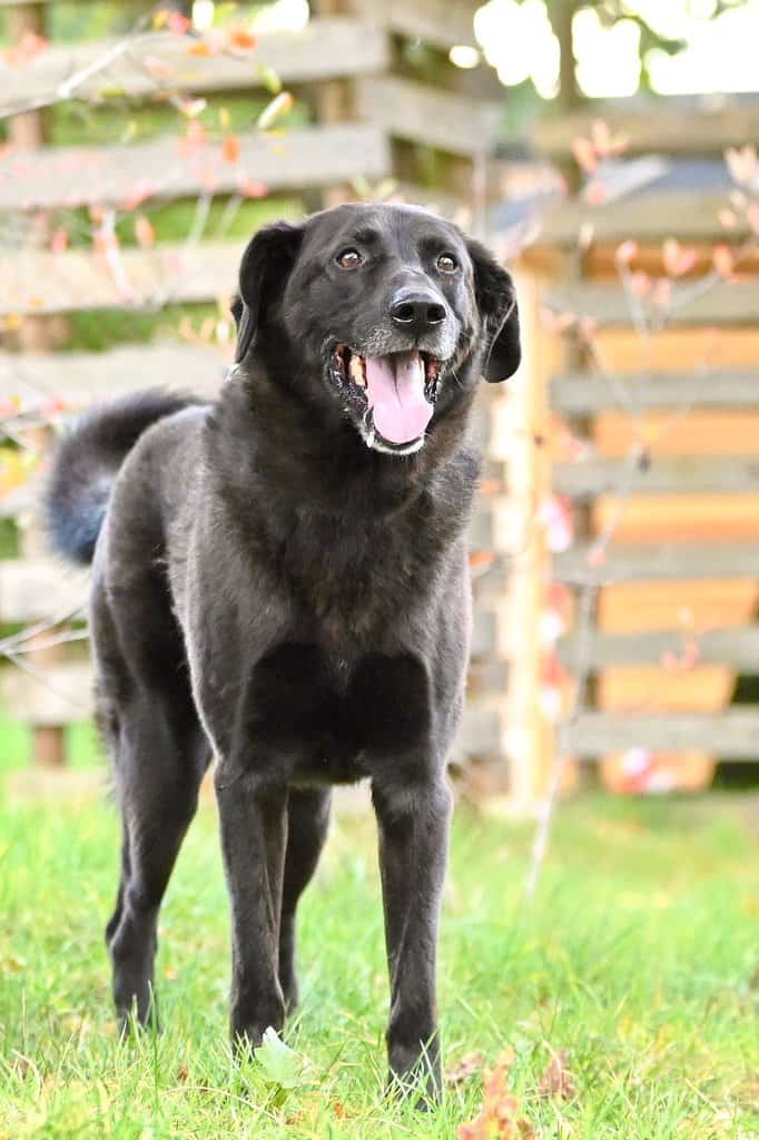 Sebastian - - Bild 7