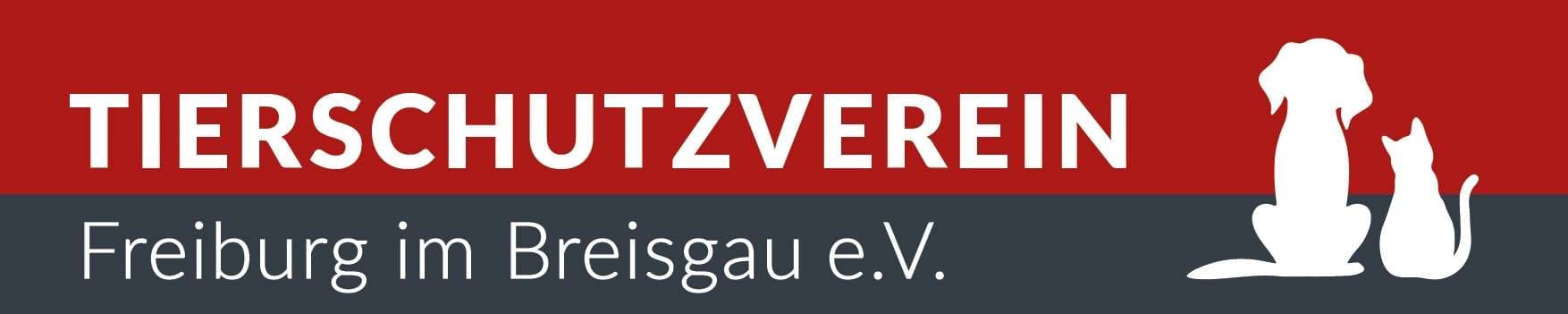 Lana - Deutscher Schäferhund - Bild 7